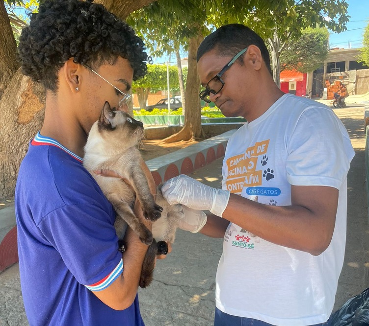 Sento Sé inicia vacinação antirrábica semanal para ampliar proteção de cães e gatos