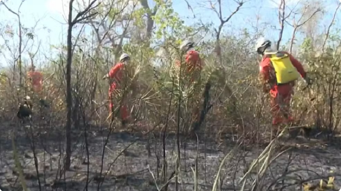 Sem chuvas desde maio, bombeiros tentam controlar incêndio que persiste há mais de um mês no oeste da Bahia