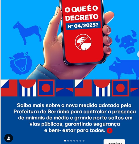 Ministério Público instaura inquérito pata apurar decreto que autoriza abate de animais abandonados em cidade baiana