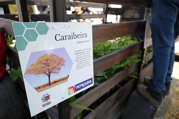 Carro da Planta vai percorrer as ruas do bairro da Cohab VI em Petrolina 