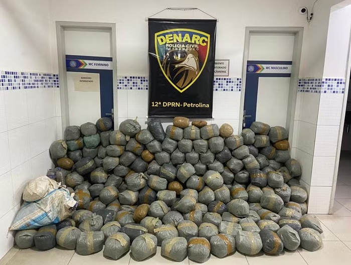 Polícia apreende quase 250 kg de maconha em Petrolina