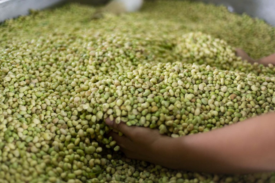 Confira a cotação dos hortifrutigranjeiros comercializados no Mercado do Produtor de Juazeiro nesta quarta-feira