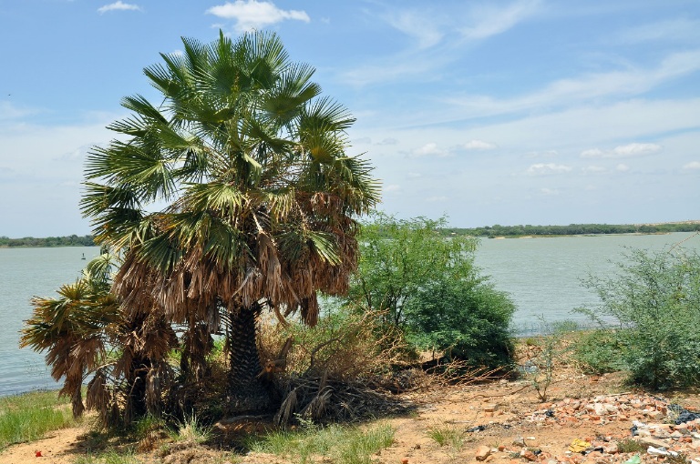 Comitê da Bacia Hidrográfica do Rio Salitre Comemora 18 Anos de Gestão Participativa e Superação de Desafios Hídricos