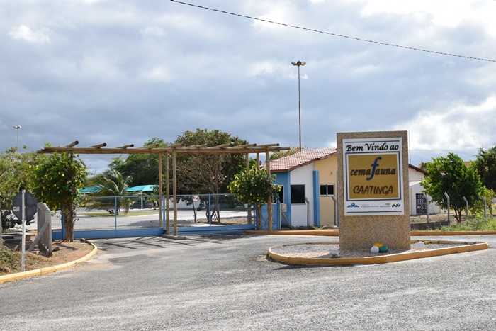 Cemafauna destaca importância de Acervos Científicos de Biodiversidade como os que mantém da Caatinga, em sua sede em Petrolina