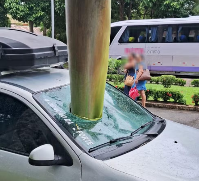 Galho de árvore cai em cima de carro e atravessa para-brisa em estacionamento de universidade na Bahia; veja imagens