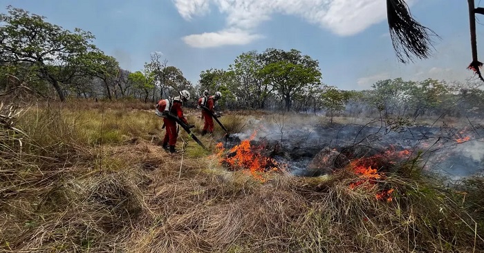 Operação Florestal 2024: Bombeiros combatem mais de 960 incêndios em 93 municípios do estado