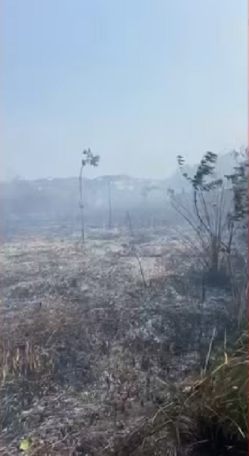 Incêndio atinge reserva indígena em cidade na Bahia