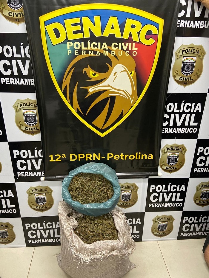 PC de Pernambuco apreende aproximadamente 10kg de maconha em Petrolina