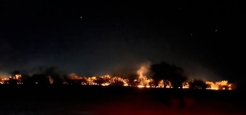 Moradores das Fazendas Paredão e Quixabeirinha, em Pinhões, pedem apoio para conter incêndio que está destruindo a caatinga