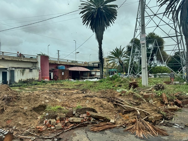 Juazeiro: Secretaria de Meio Ambiente informa que foi firmado um termo de compromisso com a Construtora responsável pelas obras. Novas árvores serão plantadas