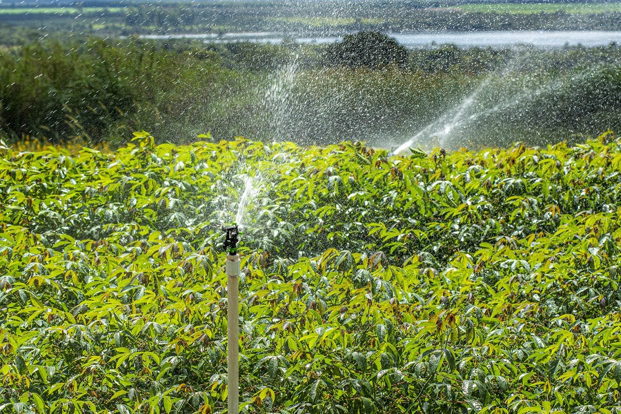 Artigo: A agricultura irrigada no contexto dos Objetivos de Desenvolvimento Sustentável