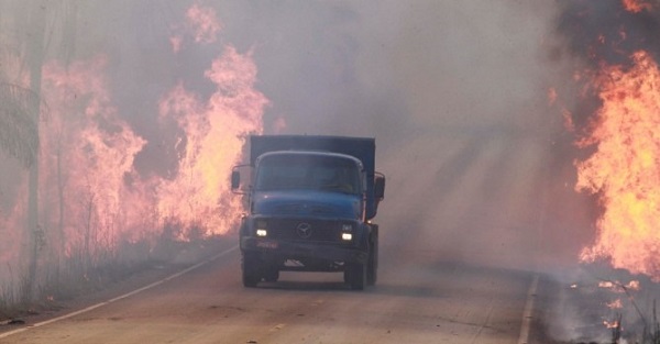 Artigo - A agropecuária é uma aliada ao combate aos incêndios em áreas rurais e periurbanas