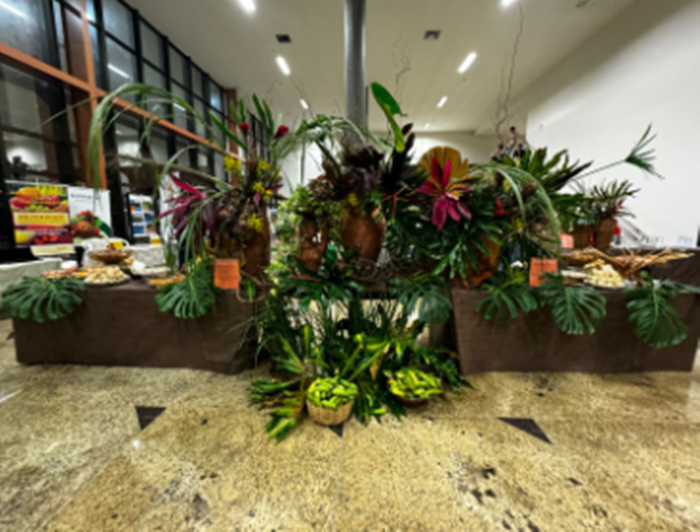 II Simpósio Nordestino de Floricultura e Plantas Ornamentais reúne estudantes e especialistas na Univasf