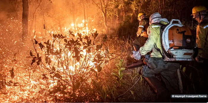 Brasil teve milhões de hectares atingidos pelo fogo este ano. Confira números