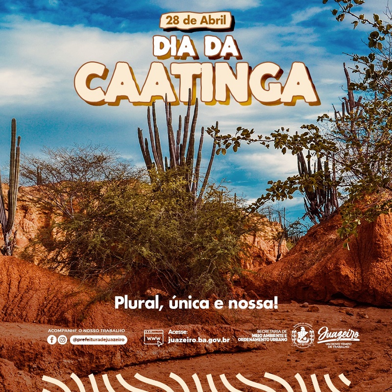 No dia Nacional da Caatinga, Prefeitura de Juazeiro celebra a biodiversidade do bioma único e exclusivo brasileiro e conscientiza sobre a preservação