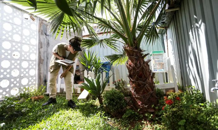 Prevenção de dengue deve ir além de mensagens sobre hábitos e cuidados