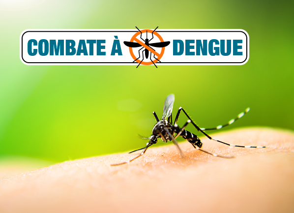 Mortes por dengue na Bahia chegam a 120
