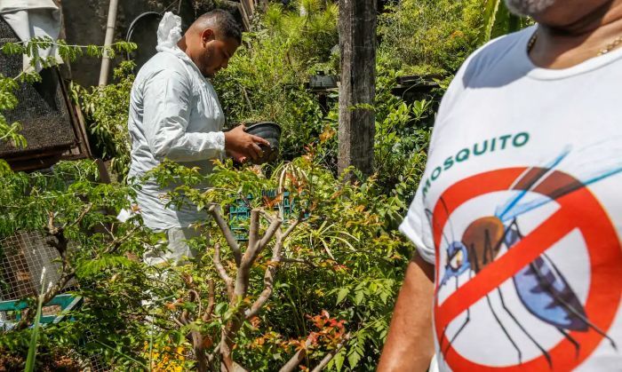  Bahia mobiliza profissionais de saúde em seminário de combate às arboviroses no Dia D Nacional contra a Dengue