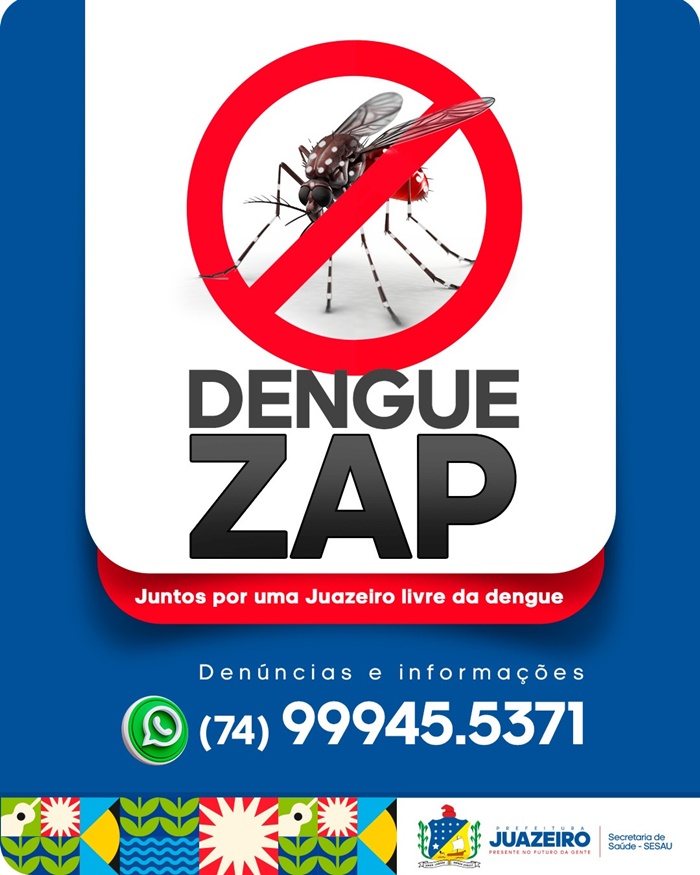 Chame no Dengue Zap: população pode denunciar possíveis focos do mosquito aedes aegypti