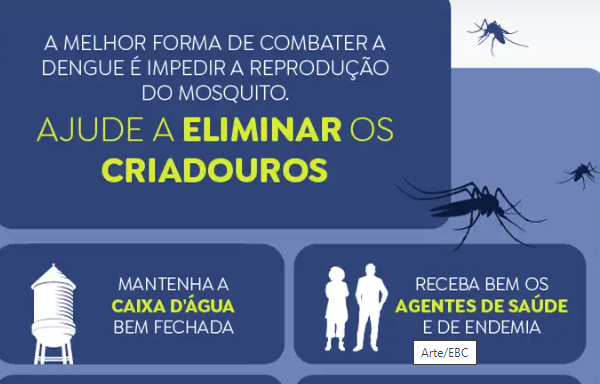 Mortes por dengue na Bahia chegam a 104