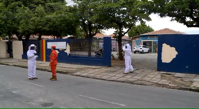 Enxame de abelhas assusta estudantes e funcionários de escola no bairro Areia Branca, em Petrolina