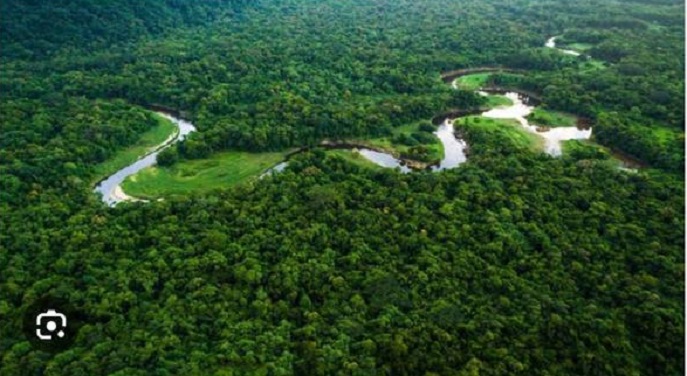 Joe Biden chegou a Manaus, neste domingo (1) e fez sobrevoo na floresta 