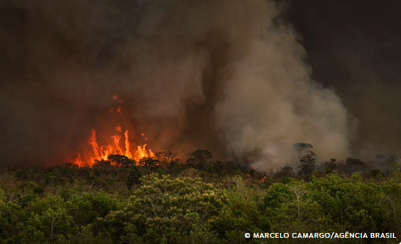 Bioma Caatinga tem redução na área atingida por incêndios de janeiro a setembro de 2024. Confira