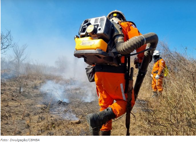 Delegado da Polícia Federal diz que há indícios de ação coordenada em incêndios