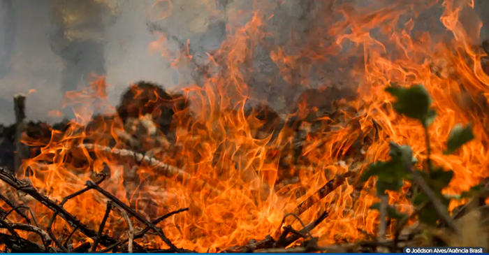 Brasil já registrou mais de 154 mil focos de calor este ano, diz programa Queimadas