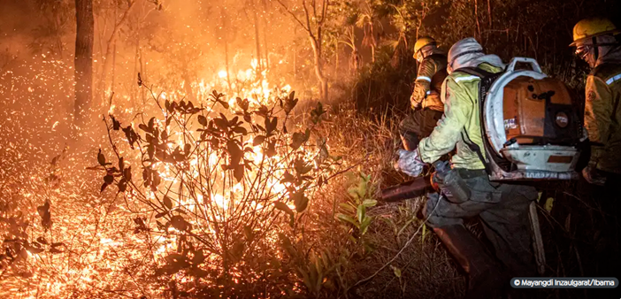 Monitoramento mostra que 99% dos incêndios são por ação humana