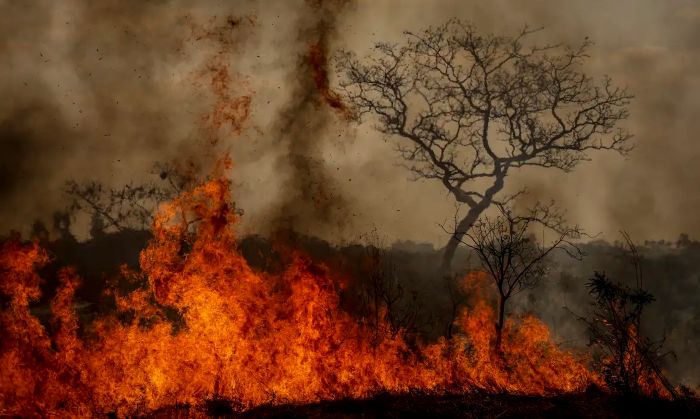 Desastres climáticos aumentaram 250% nos últimos quatro anos no país