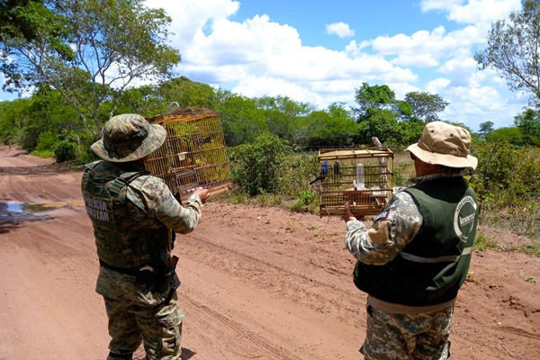 Com 140 animais resgatados, operação do Inema intensifica ações contra crimes ambientais