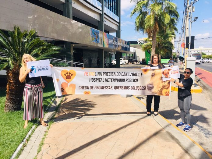 Protesto: manifestantes cobram da prefeitura de Petrolina "ações contra o abandono de animais"