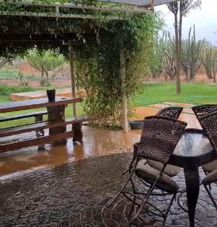 Chuva é comemorada na zona rural: "Está chovendo nos sertões e é chuva da boa"