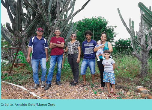 Recaatingamento é a fórmula baiana para recuperar meio ambiente com geração de renda