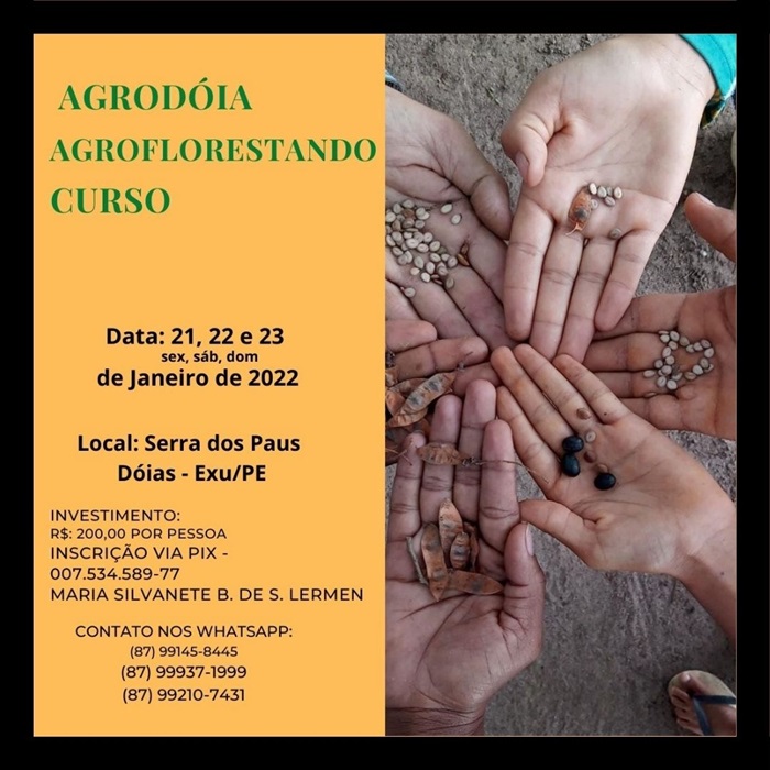 Agrofloresta será tema de curso na Serra dos Paus Dóias em Exu Pernambuco