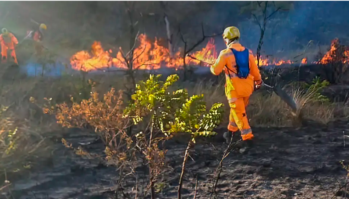 Defesa Civil alerta para riscos de incêndio devido às altas temperaturas