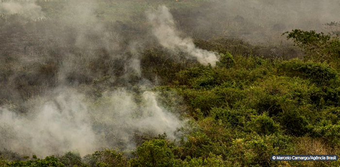 Militares do Exército começam a combater incêndios