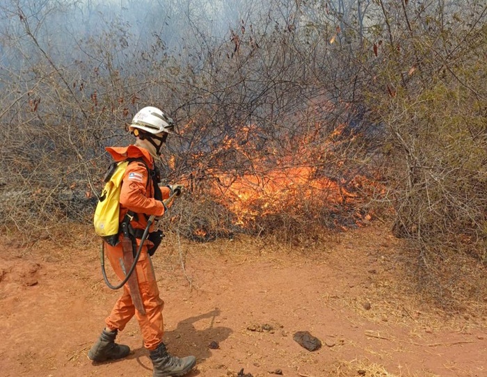 Bahia: bombeiros já combateram 290 incêndios e intensificam ações