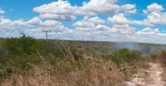 Gestão estadual suspende queima controlada em 178 municípios baianos