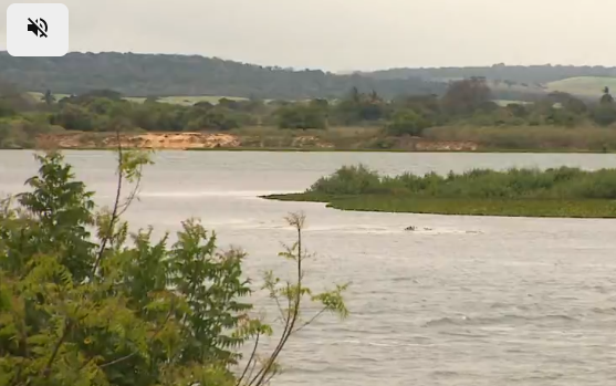 Seca muda a paisagem da região do Baixo Rio São Francisco e impacta a vida de comunidades ribeirinhas