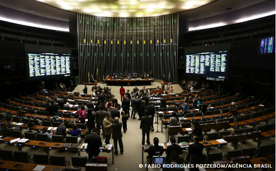 Deputados e senadores estão mais preocupados com as eleições municipais do que com os incêndios e meio ambiente, diz colunista