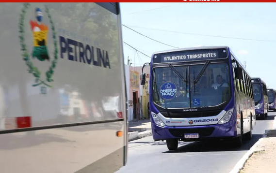 Eleições 2024: Petrolina terá transporte coletivo gratuito neste domingo (6)