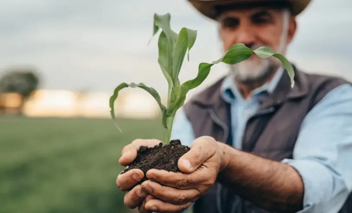 Produtores rurais do território do São Francisco participam da 6ª edição da e-Agro em Salvador